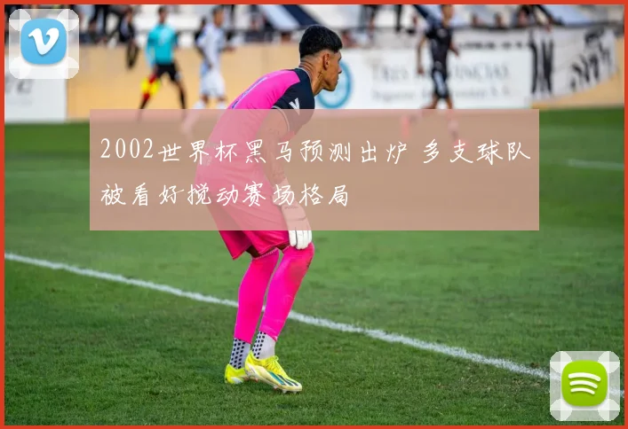 2002世界杯黑马预测出炉 多支球队被看好搅动赛场格局