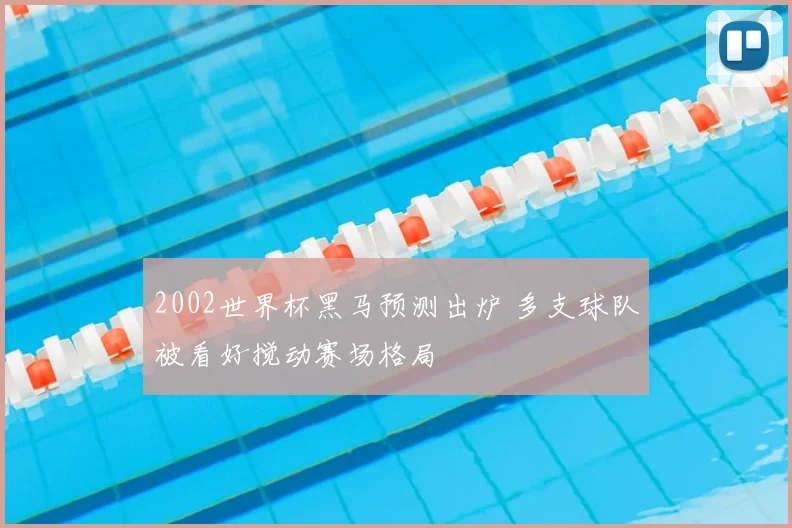 2002世界杯黑马预测出炉 多支球队被看好搅动赛场格局